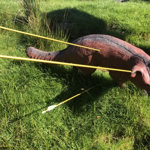 Field Archery - Keswick Climbing Wall 2