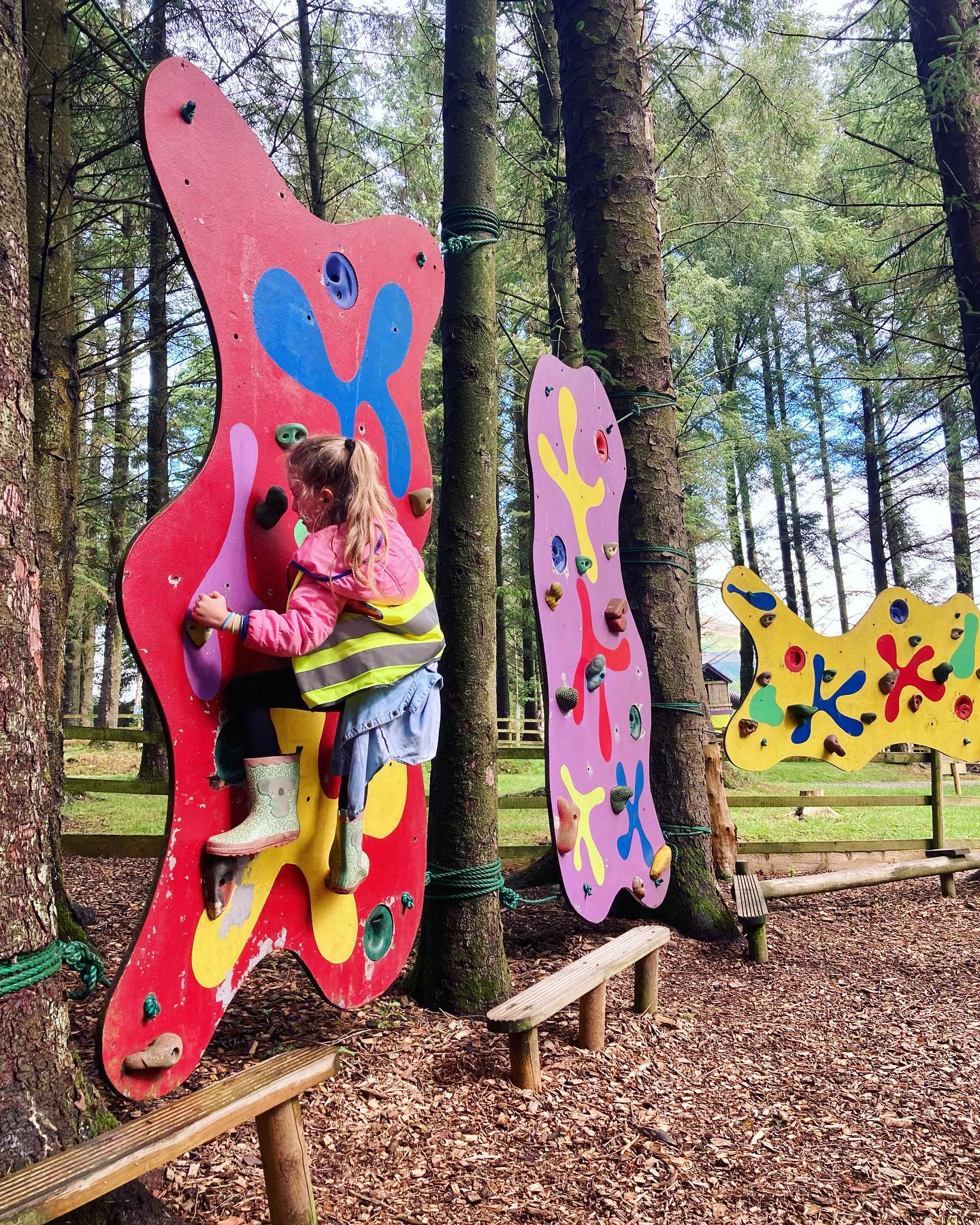 Cover Image for Rookery Woods